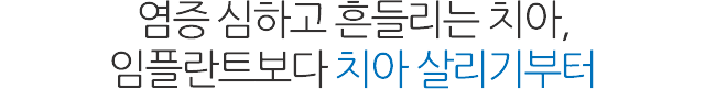 서울샘의 임플란트?
