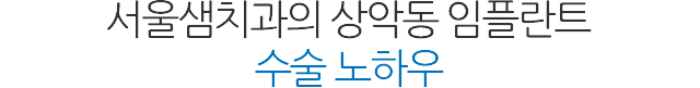 상악동 임플란트