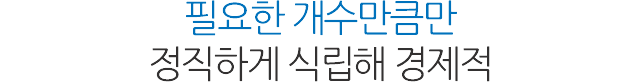 전체 임플란트