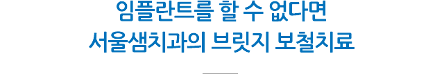 브릿지