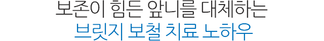 브릿지