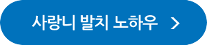 사랑니 발치 노하우 자세히보기