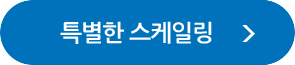 특별한 스케일링 자세히보기